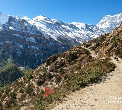 Annapurna Circuit Trek