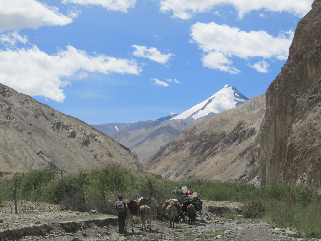 Markha Valley Trek