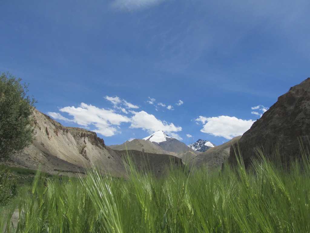 Markha Valley Trek