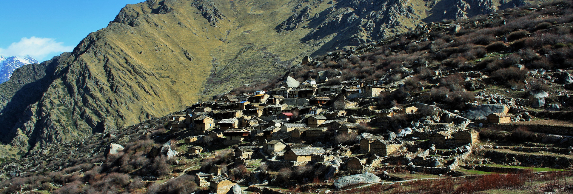 Bagini Glacier Trek