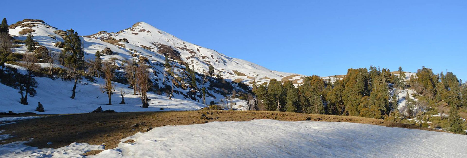 Kedarkantha Trek