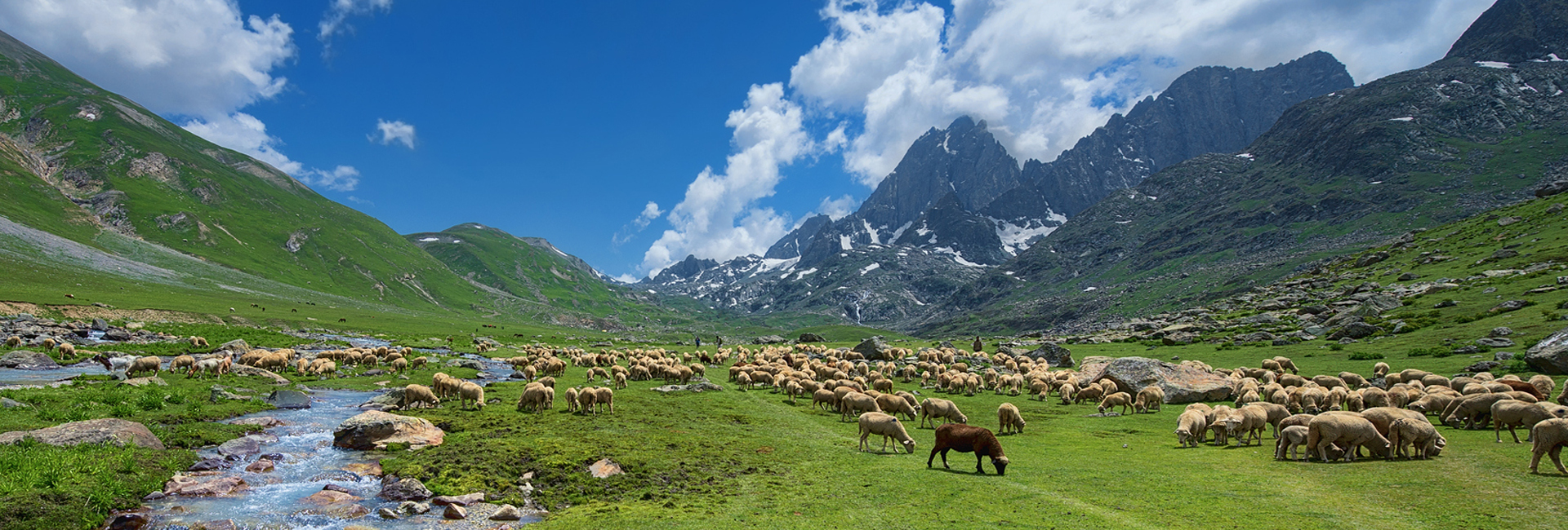 Roopkund Trek