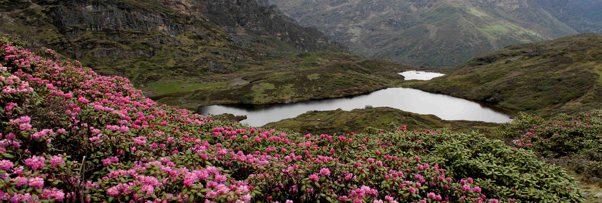 Druk Path Trek
