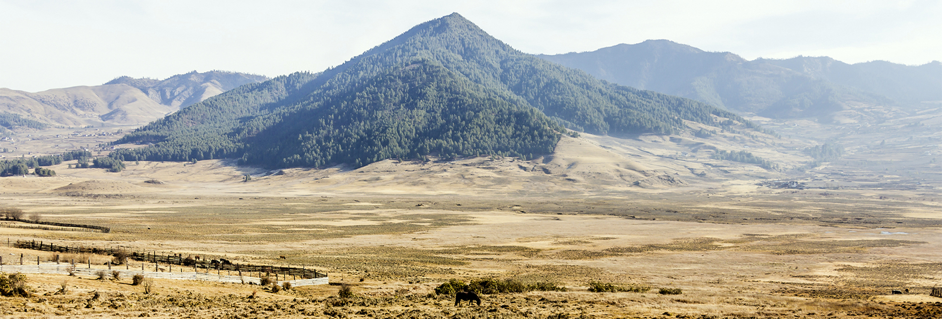 Druk Path Trek