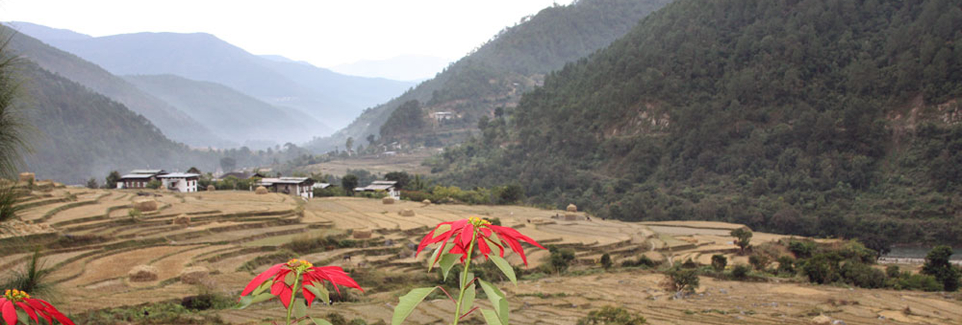 Samtengang Trek