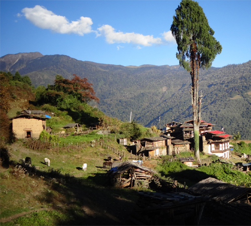 Samtengang Trek