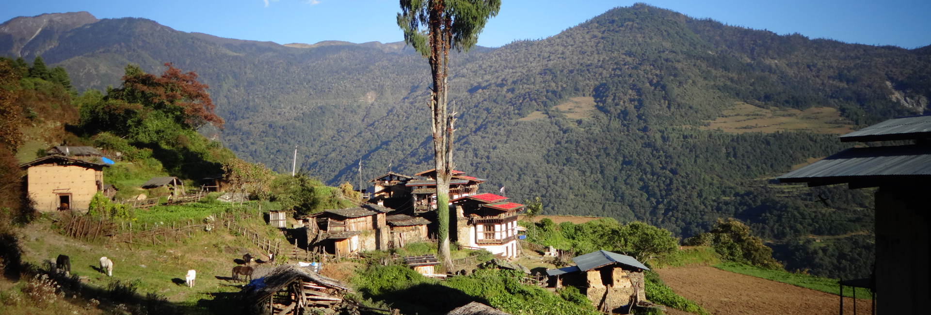 Samtengang Trek