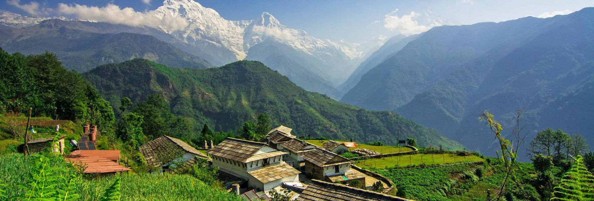 Poon Hill Trek
