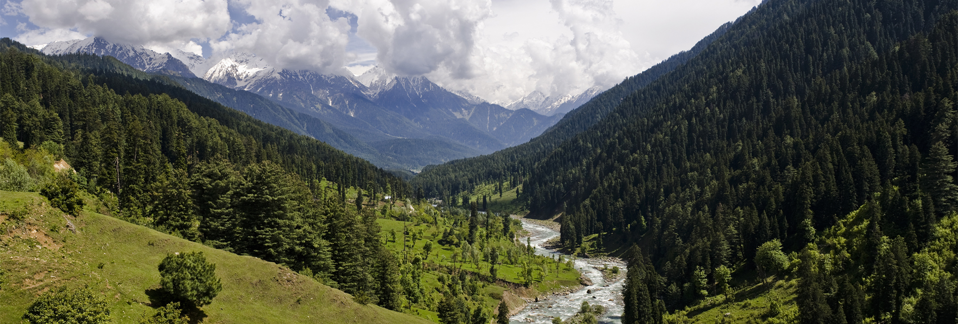 Aru Kolahoi Glacier Trek