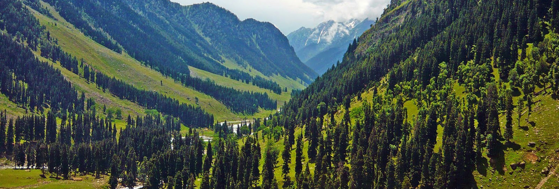 Aru Kolahoi Glacier Trek