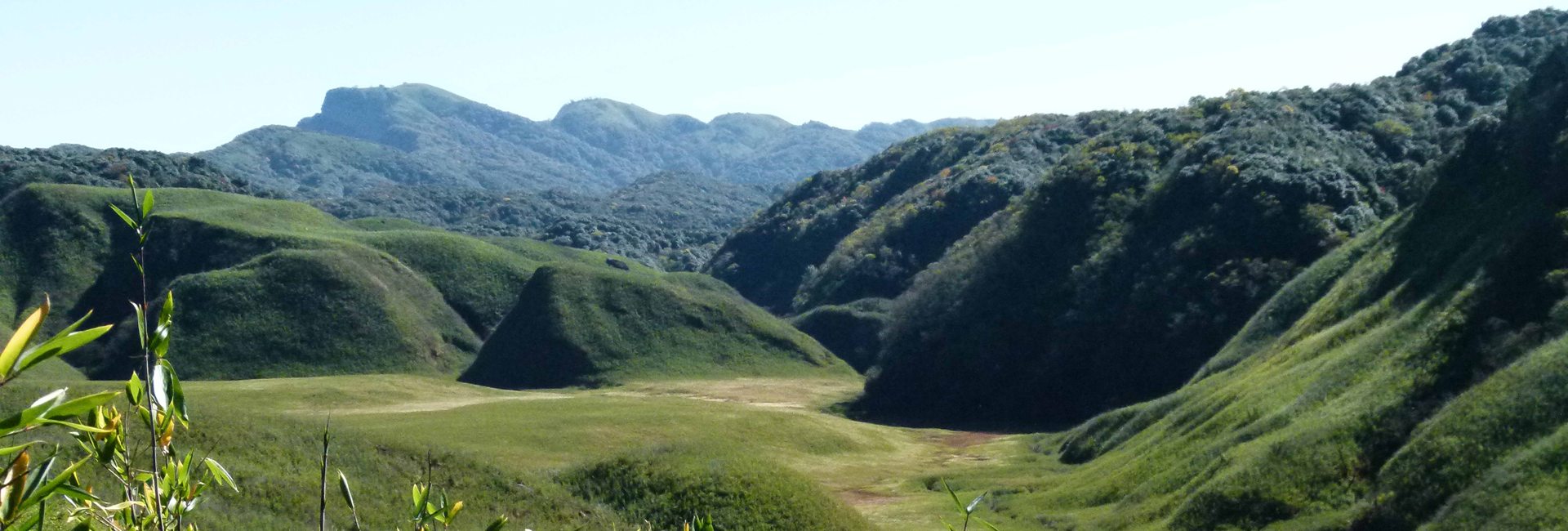 Dzukou Valley Trek