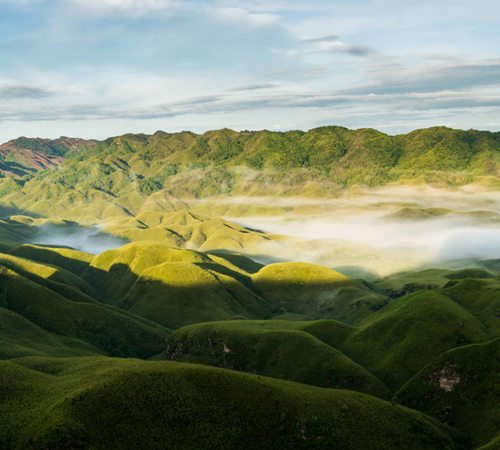 Dzukou Valley Trek