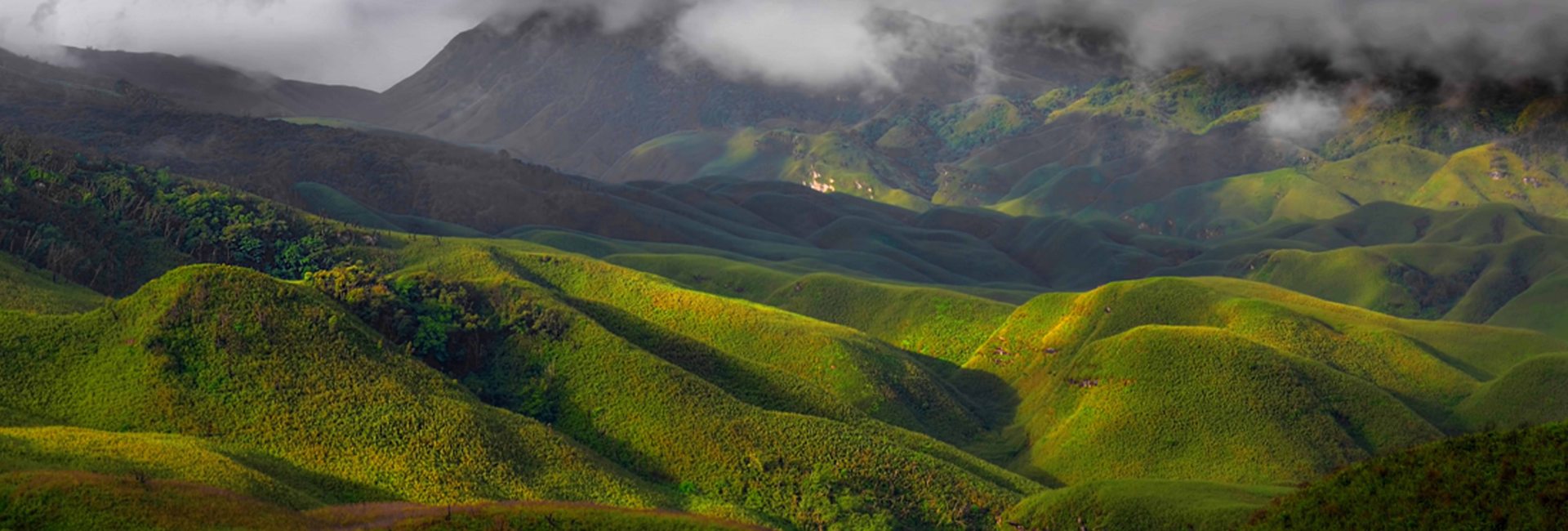 Dzukou Valley Trek