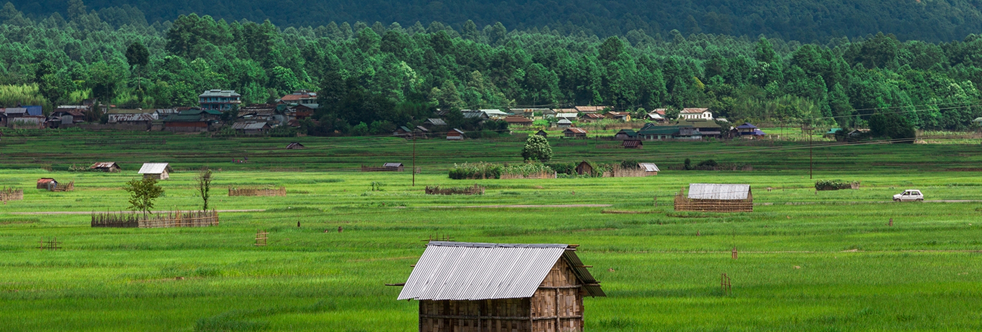 Ziro-Talley Valley Trek