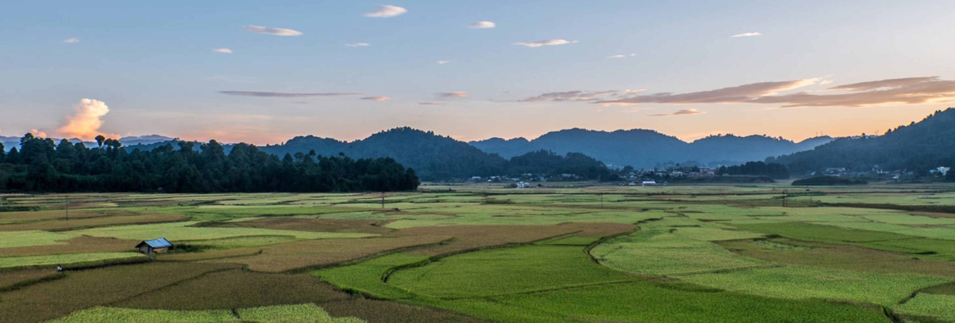 Ziro-Talley Valley Trek