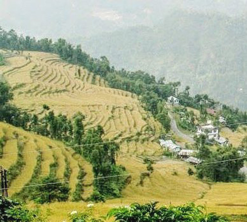 Khedi Trek