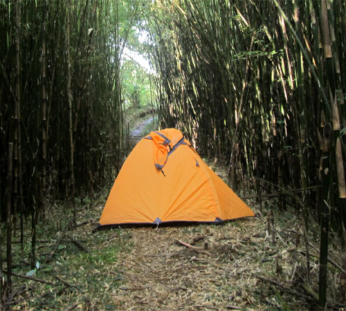 Rachela ( Neora Valley ) Trek
