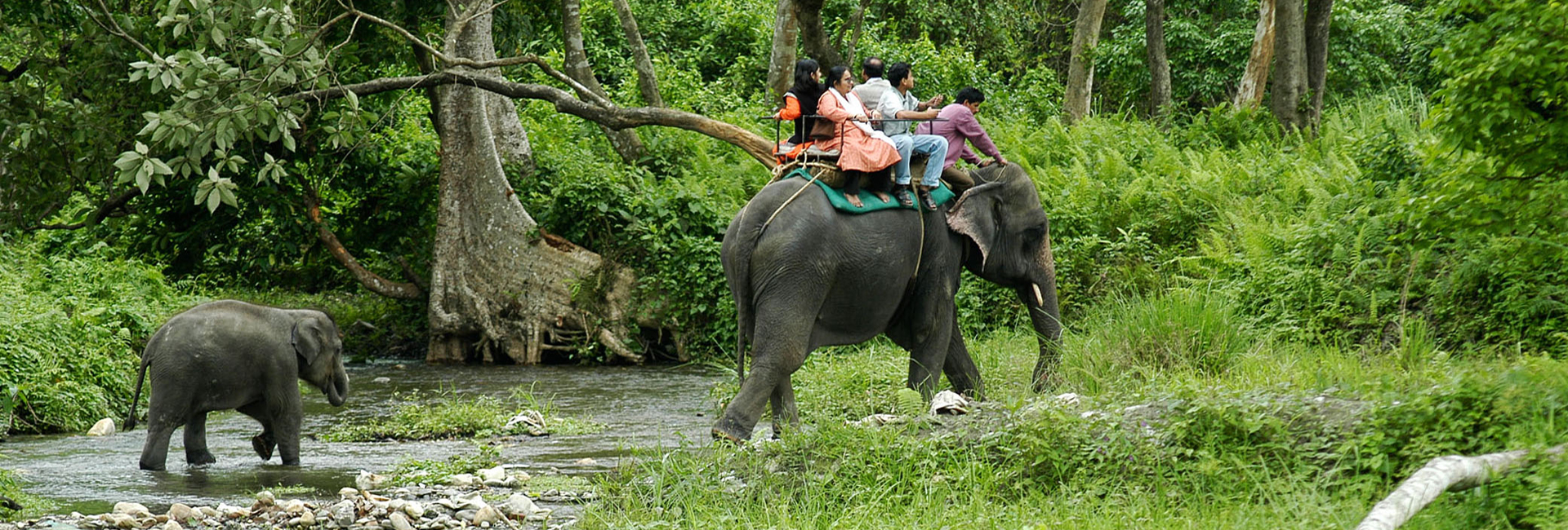 Wild Dooars Tour