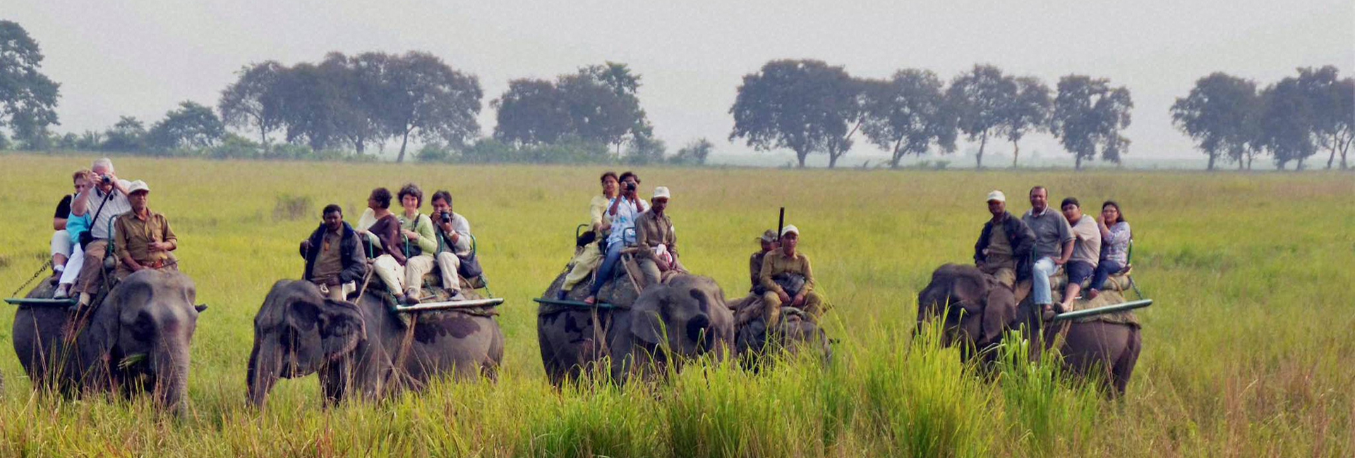 Assam Wildlife Tour