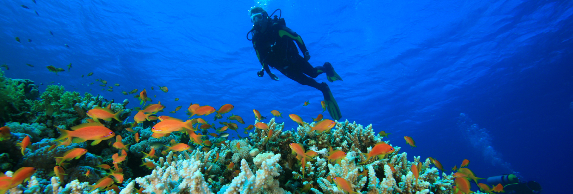 Andaman Tour