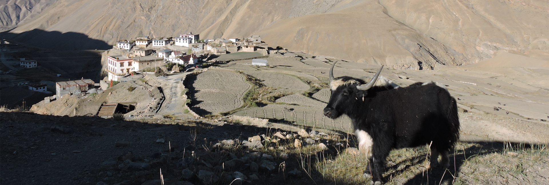 Kaza - Spiti Valley Tour