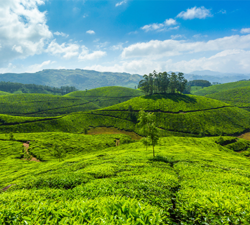 Kerala Tour